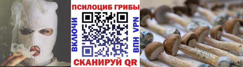 Псилоцибиновые грибы Psilocybine cubensis  как найти закладки  Ахтырский 