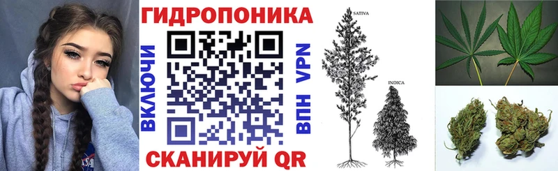 Каннабис индика Ахтырский